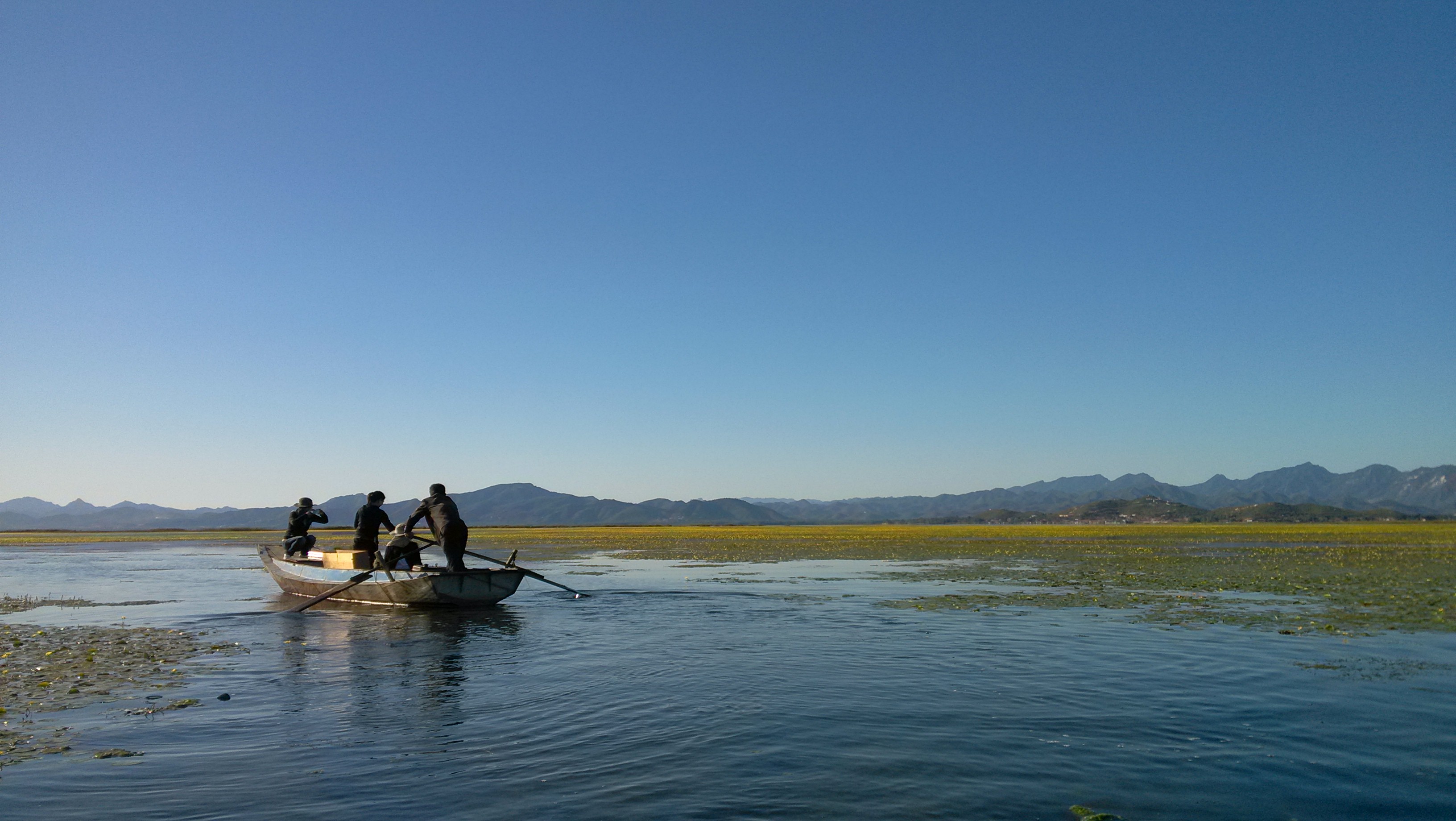 70% of Large Lakes in China Clearer since 2000: Study