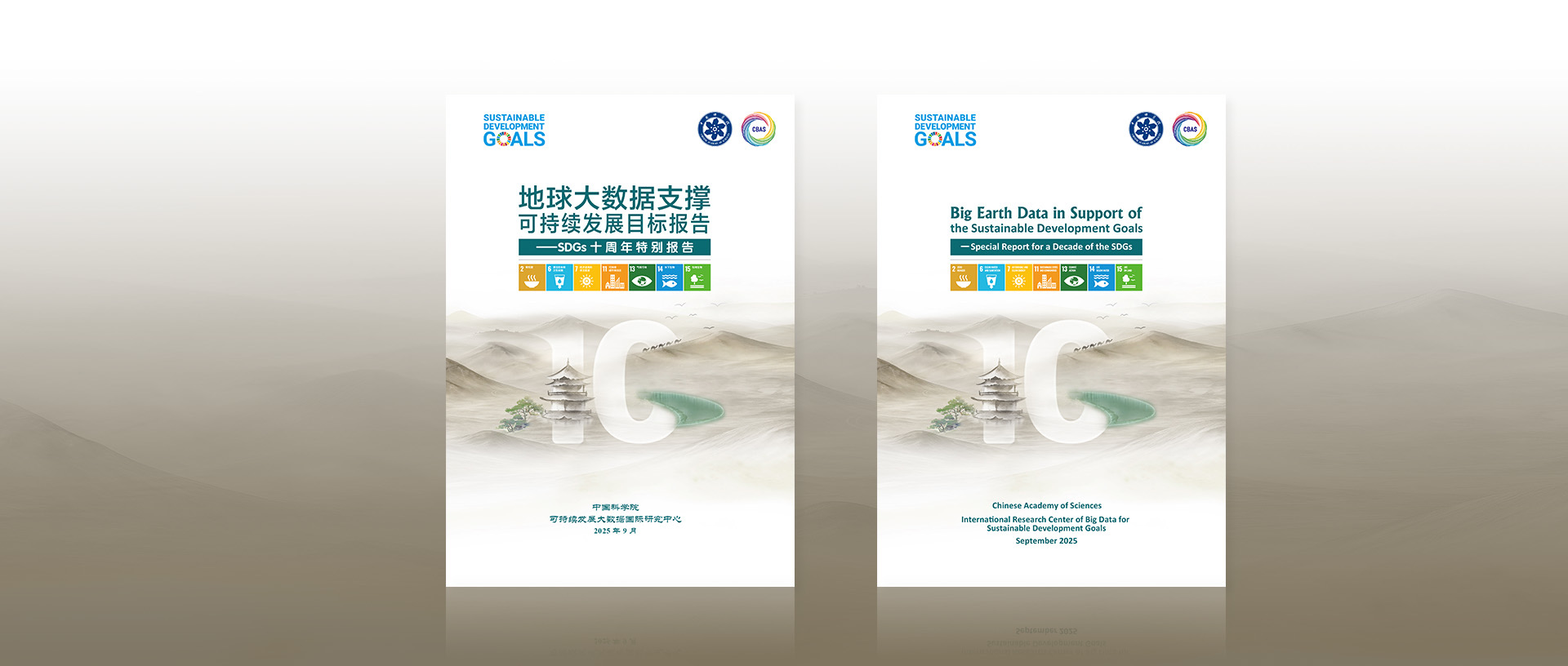 Ten Years of SDG Progress Globally and in China: Insights from Big Earth Data