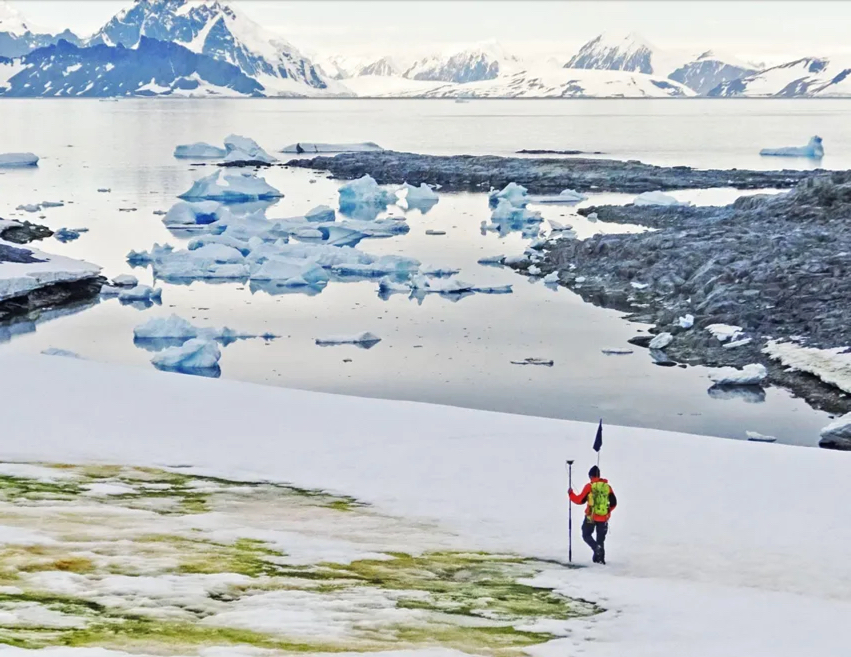 Snow Algae Found to Accelerate Antarctic Ice Shelf Melting, Study Reveals