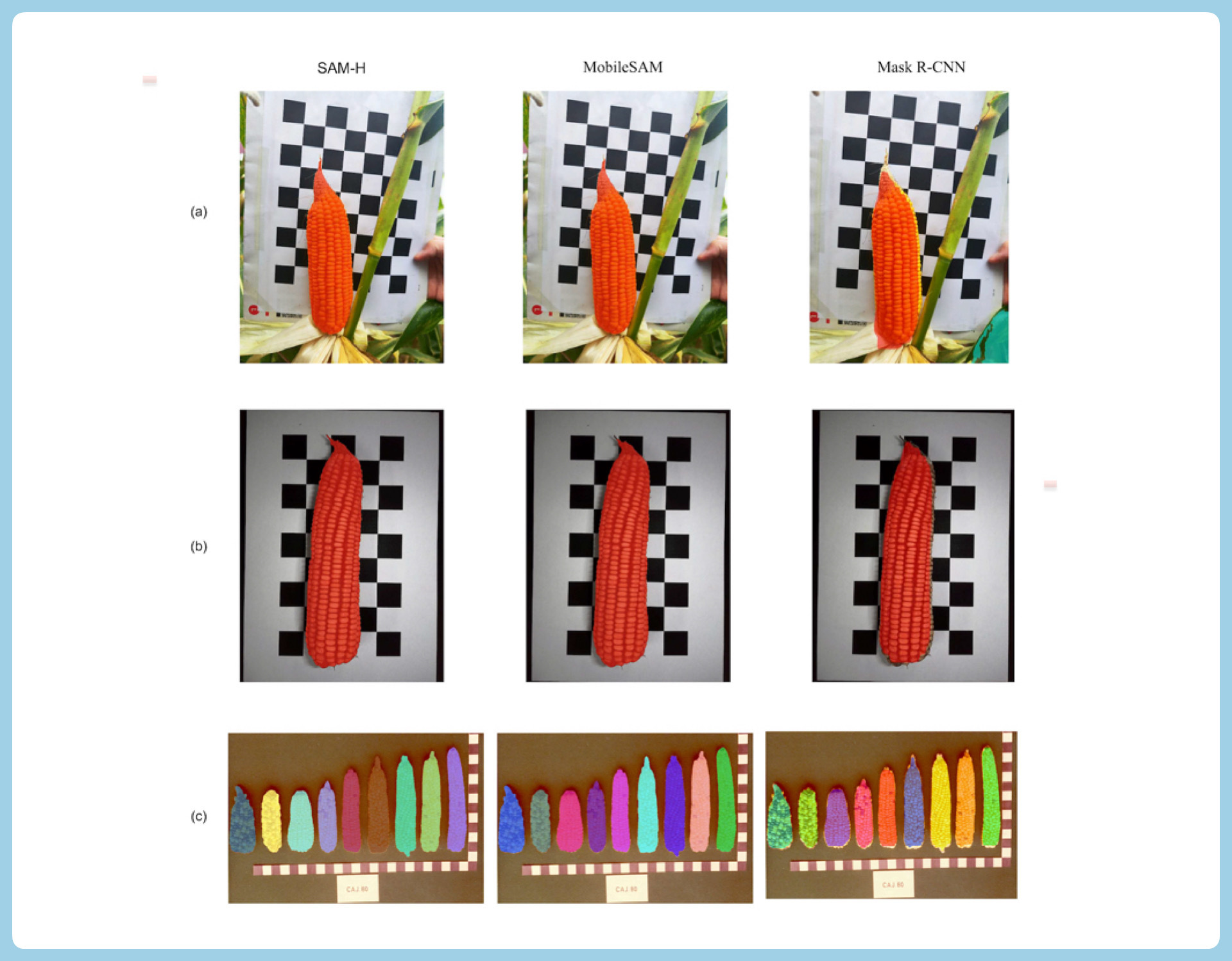New Zero-Shot Learning Approach Advances Maize Phenotyping and Yield Estimation Without Model Retraining