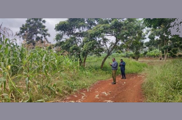 CropWatch Team Conducts Field Survey in Kenya