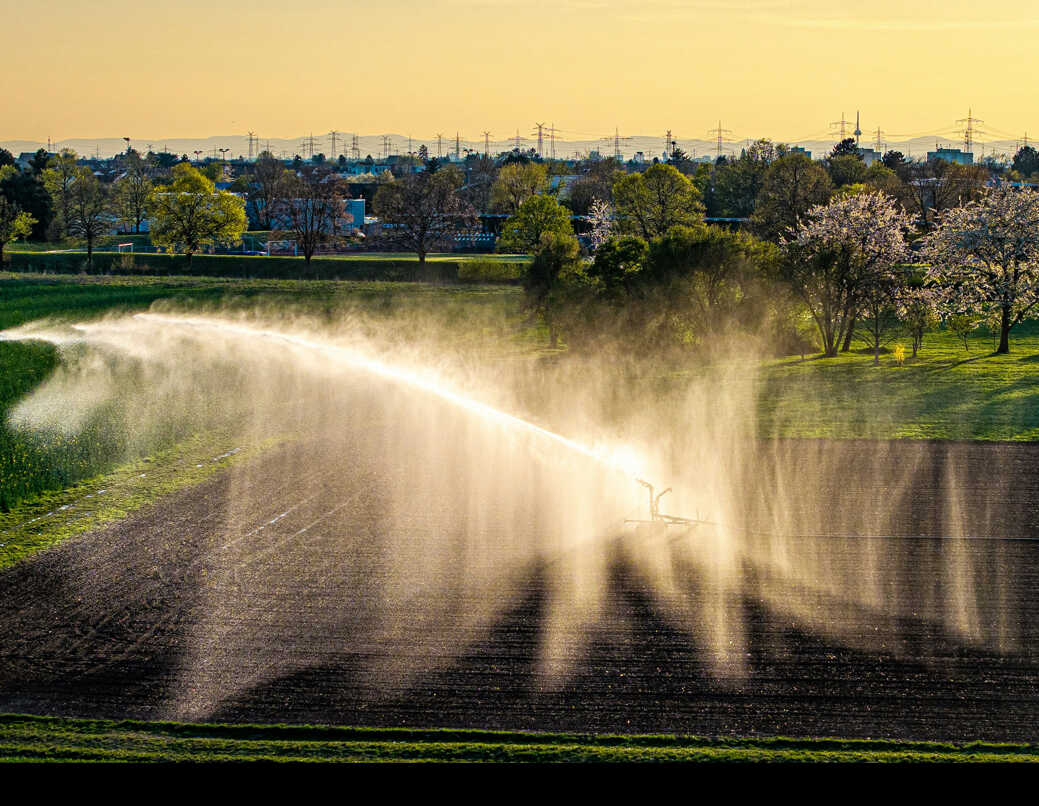 New Global 1-km Dataset Tracks Cropland Water-Use Efficiency from 2001 to 2020